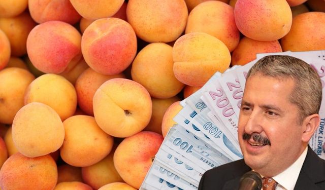 Kayserili Bakan Yardımcısı'ndan dikkat çeken paylaşım! Bilgihan Ova'ya rekor ceza geldi