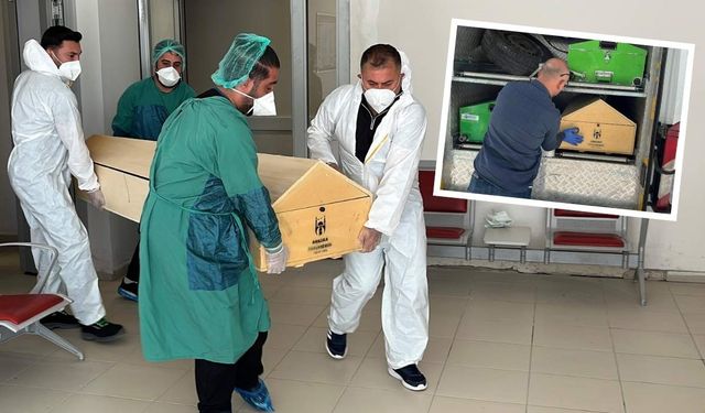 Bir kene vakası daha! 72 yaşındaki kadın hayatını kaybetti