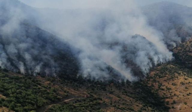 Ormanda yangın alarmı! Alevlere havadan ve karadan müdahale sürüyor