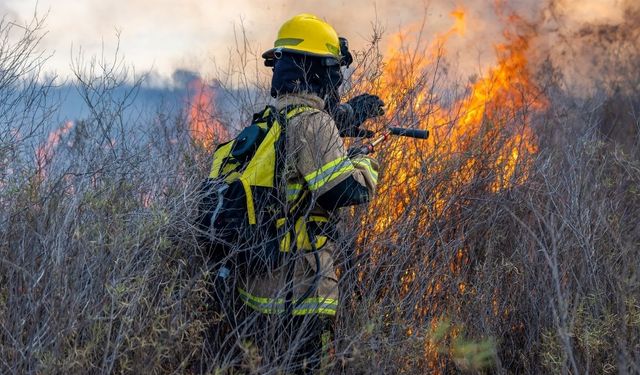 Orman yangınlarının en büyük sebebini Bakan açıkladı! 81 tanesi bu yüzden çıkmış