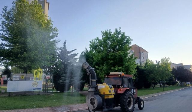 Kene ve haşerelere geçit yok: Talas'ta mesai devam ediyor!