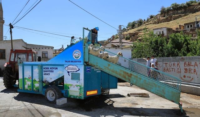 Kayseri'de kritik önlem: Keneye karşı mücadele devam ediyor!