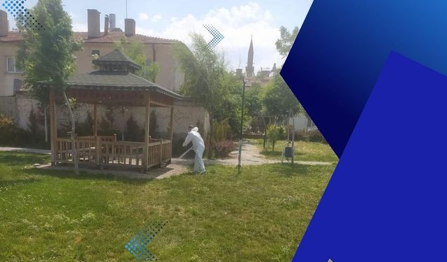 Tomarza'da kene vakalarında 2 kişi hayatını kaybetmişti: Belediye alarma geçti!