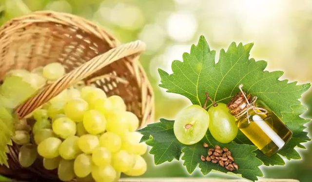 Üzüm Çekirdeği Yağının Sağlığa Katkıları ve Kullanım Önerileri