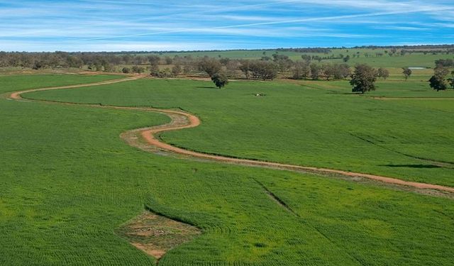 Kayseri'de dev satış: Devlet diresi 826m arsayı bu fiyata verecek!