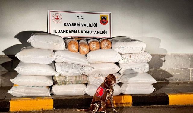 Kayseri-Malatya yolunda dikkat çeken denetim: Polis köpeği fark etti!