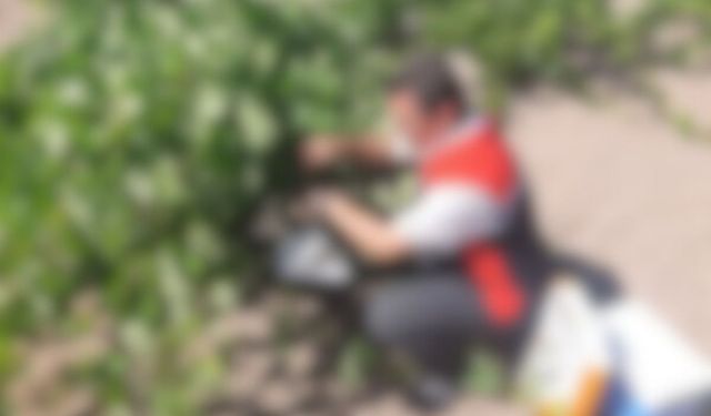 Kayseri’nin o ilçesinde tuzaklar kuruldu! İşte sebebi