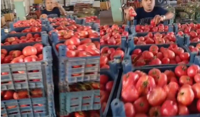 Komşu ilde domates ve karpuz 3 TL! Yine de kimse almıyor