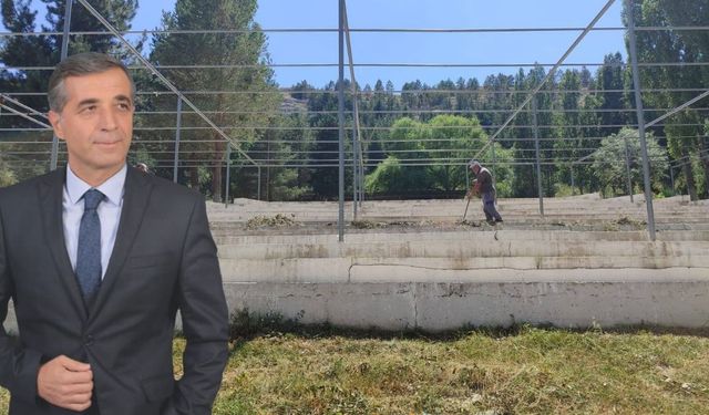 Kayseri'de kene alarmı şenlikleri gölgeledi: Vatandaşlar gitmeye çekiniyor!