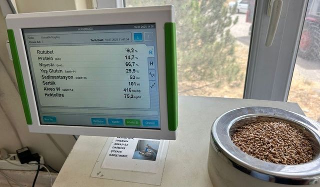 Tomarza'da hasat başladı: TMO ürün alımına başladı!