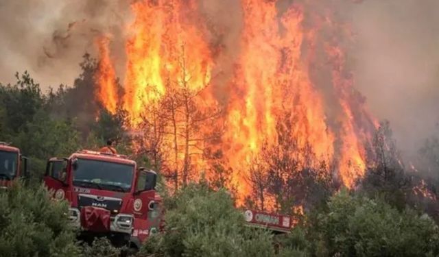 Seyitgazi’de Orman Yangını Faciası: 10 Kişi Şehit Oldu: Kayseri’den taziye mesajı