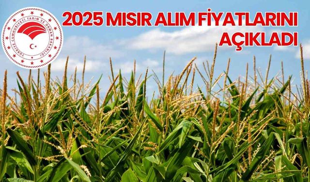 2025 Mısır alım fiyatlarını açıkladı