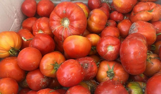 Kayseri’de fiyatlar uçtu! Pazar’da ayrı, market’te ayrı
