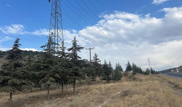 Kayseri'de mezarlık sorunu tarihe karışıyor! Üç mahalleye kalıcı çözüm