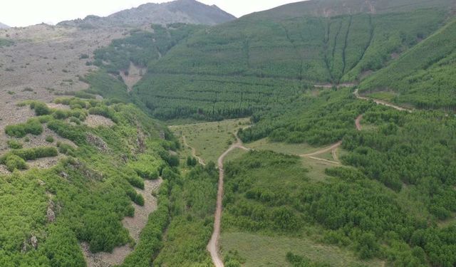 Kayseri'de doğa tutkunlarının yeni adresi oldu!