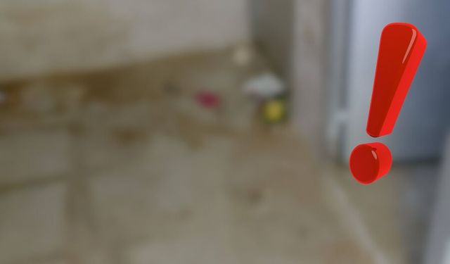 Kayseri'de mide bulandıran görüntüler! Belediye harekete geçti