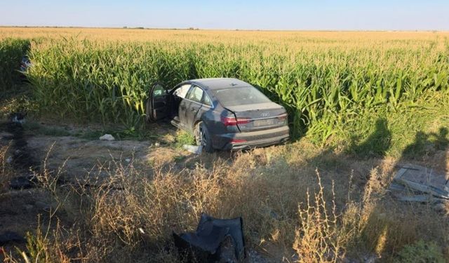 Kaza yapan iki otomobil mısır tarlasına savruldu: 7 yaralı