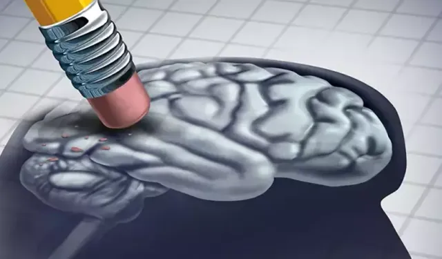 Alzheimer hastalarına iyi geliyor: Sık sık tüketmeleri gerek
