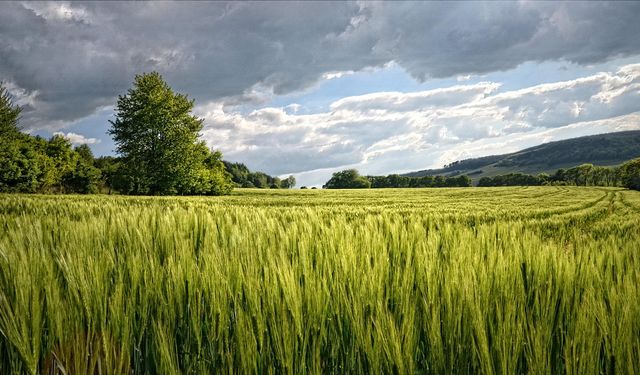 Kayseri'de toprak sahibi olma şansı: Acele edenler devlet kurumundan ucuza alacak!