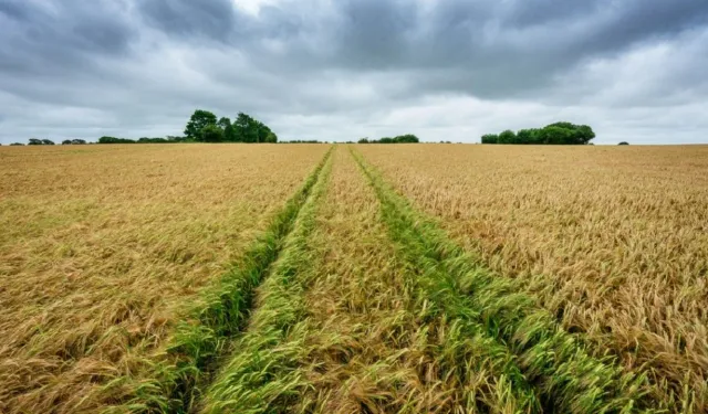 Kayseri'de toprak alma şansı: İncesu'da 800m alan bu rakama verilecek