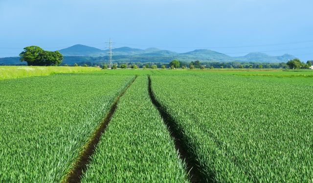 Fiyatı gören şaşırdı: Mahkeme Kayseri'de 1.5 dönüm alanı bu fiyata satacak