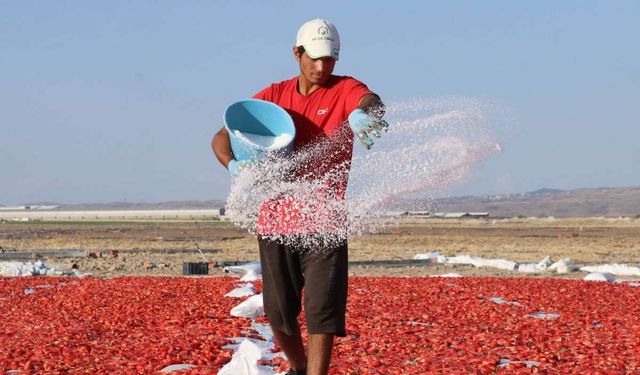 Erciyes etekleri kırmızıya büründü