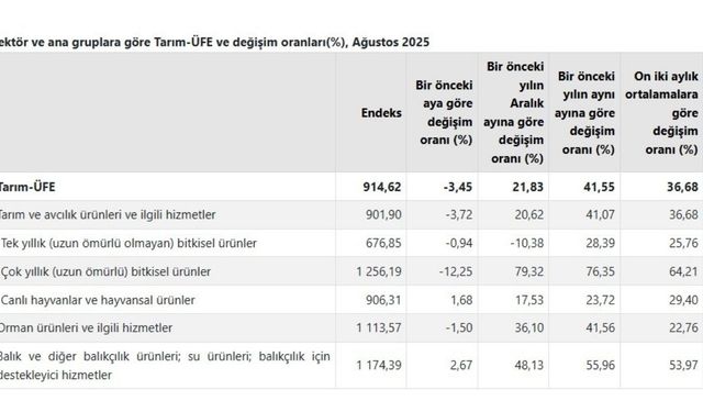 Tarım-ÜFE’de büyük sıçrama: Meyve fiyatlarında bakın ne kadar artış oldu?