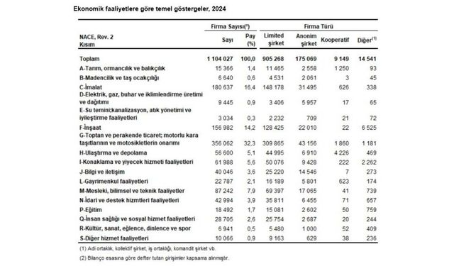 2024 Sektör Bilançoları açıklandı: İmalat zirvede, eğitim Zararda