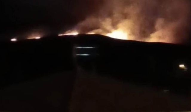 Niğde'de çobanların yaktığı ateş ormana sıçradı: Alevler büyüdü!