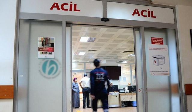Kayseri’de köpek saldırısına uğrayan kadın hayatını kaybetti