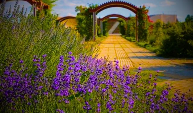Kayseri'den gidenler büyülenmeden dönmüyor! Cennetten bir parça