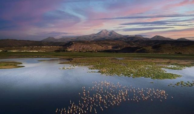 Hürmetçi sazlığı nerededir, tarihi ne kadar eski ve ziyaretçi potansiyeli ne durumda?