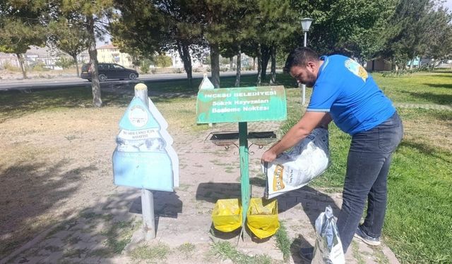 İncesu Belediyesi ‘’Sokak hayvanlarını korumak hepimizin görevi’’