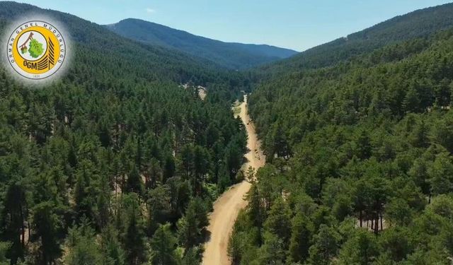 Kayseri Orman Bölge Müdürlüğü’nden o ile destek! İhale tarihi belli oldu!