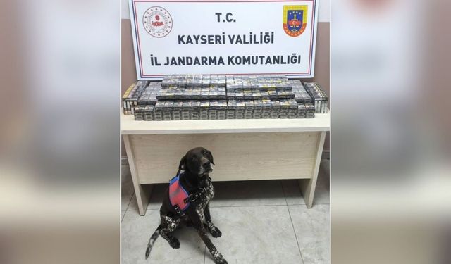 Kayseri'de 2 tırda yüzlerce paket kaçak sigara yakalandı