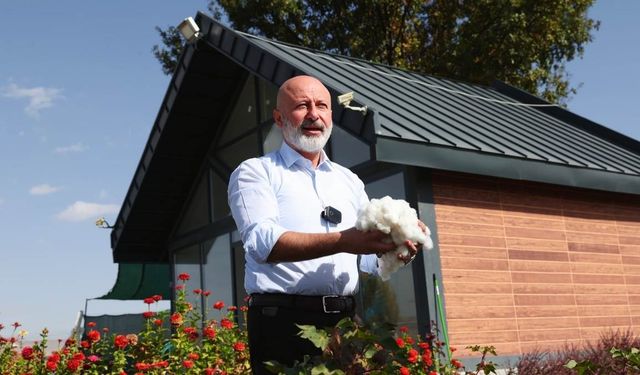 Kayseri’de pamuk üretimi başladı: Kocasinan Belediyesi’nden örnek proje!