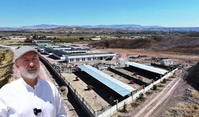 Kocasinan Belediyesi’nden sokak hayvanlarına beş yıldızlı yaşam alanı!