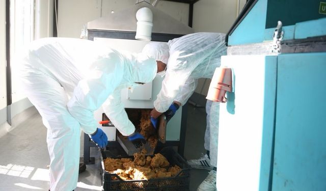 Melikgazi’de sıfır atıkla yemek atıkları mamaya dönüşüyor!