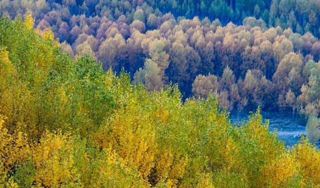 Kayseri’nin saklı cenneti eşsiz güzelliğe büründü: Herkes oraya akın etti!