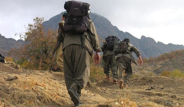 PKK: Türkiye'den tüm güçlerimizi çekiyoruz