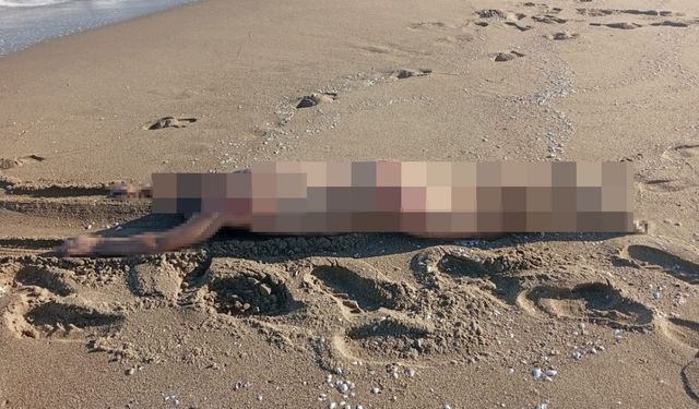 Sakarya’da sahilde çıplak erkek cesedi bulundu!