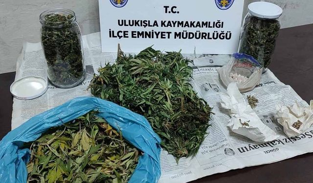 Niğde'de dev yasaklı madde operasyonu: 13 gözaltı!