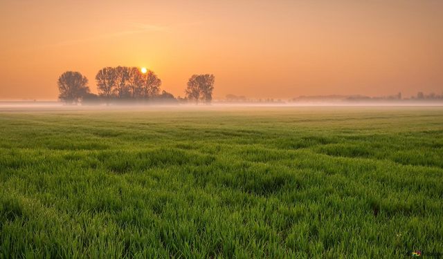Kayseri'nin sevilen yerinde tarım alanı resmen mahkemeden bu fiyata satışa kondu