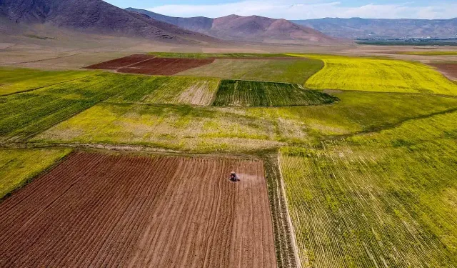 Melikgazi'de tarla satılacak: Bu parayı bir araya getirenler çok daha ucuza alacak!