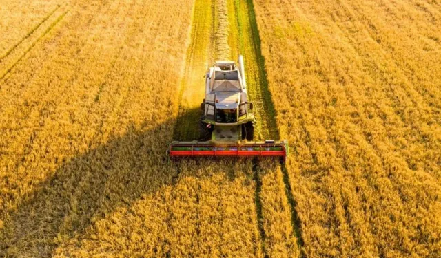 Kayseri'de toprak sahibi olma şansı: İşte fiyat ve tarih