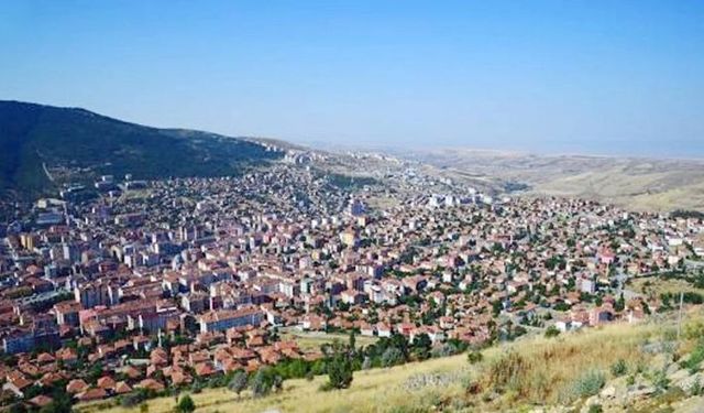 Yozgat Sarıkaya’da toplu köpek katliamı iddiası!