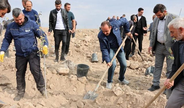 Cumhurbaşkanı Erdoğan’ın himayesinde başlatıldı: İncesu’da fidan dikimi Başkan İlmek’ten