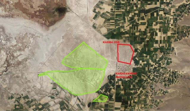 Develi'de 4 bin 800 dekar mera hayvancılığa kazandırıldı