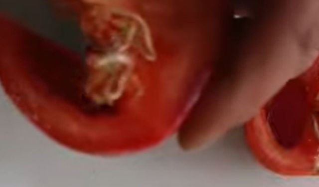 Niğde'de pazardan alınan domatesin içinden çıkan şey şok etti