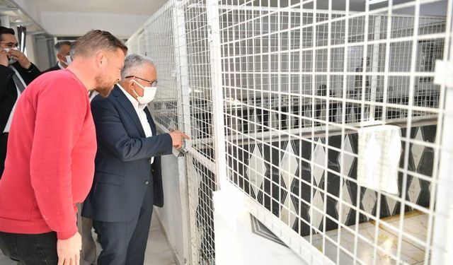 Pınarbaşı’na yeni açık hayvan barınağı geliyor